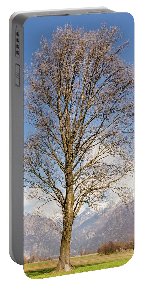 2018 Portable Battery Charger featuring the photograph Tall Tree by Pavel Melnikov