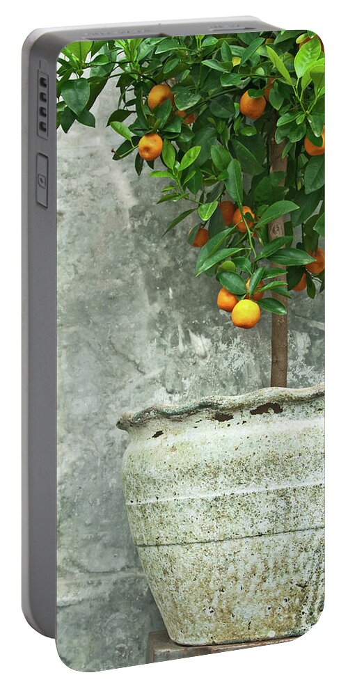 Tangerine Portable Battery Charger featuring the photograph Tangerine tree in old clay pot by GoodMood Art