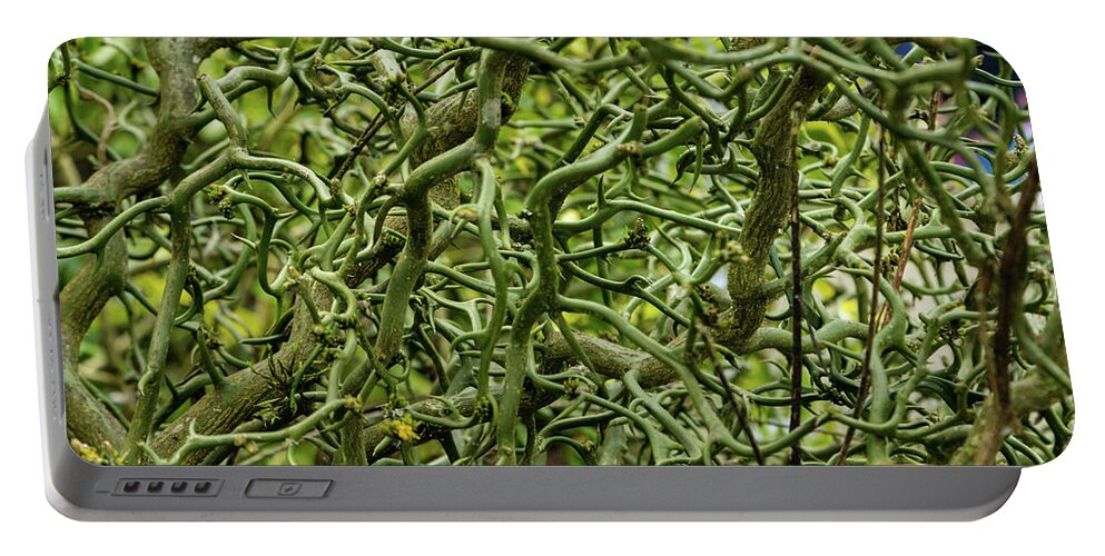 Curly Plant Portable Battery Charger featuring the photograph Tangled Web by Aashish Vaidya