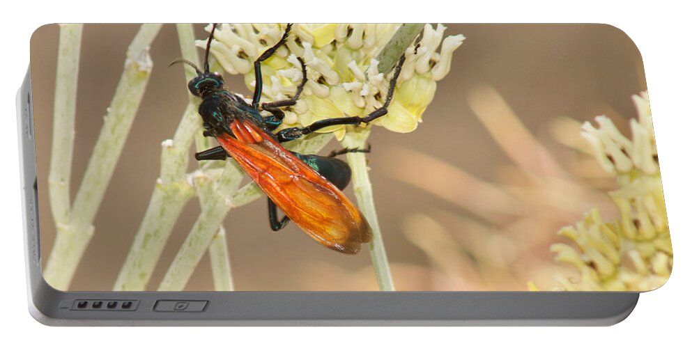 Photography Portable Battery Charger featuring the photograph Tarantula Hawk by Sean Griffin