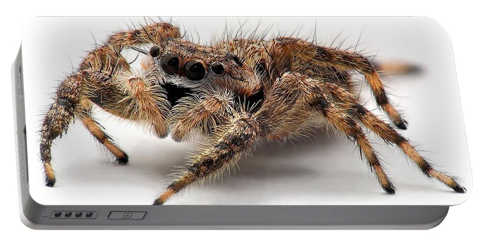 Tarantula Portable Battery Charger featuring the photograph Tarantula by Jackie Russo