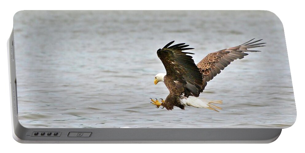 Bald Eagle Portable Battery Charger featuring the photograph Target in Sight by Don Mercer