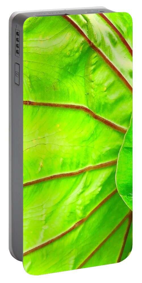Flowers Of Aloha Taro Leaf Green Hawaii Portable Battery Charger featuring the photograph Taro Leaf Close Up in Green by Joalene Young