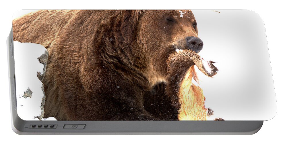 Grizzly Bear Portable Battery Charger featuring the photograph Tasty Grizzly Catch by Adam Jewell