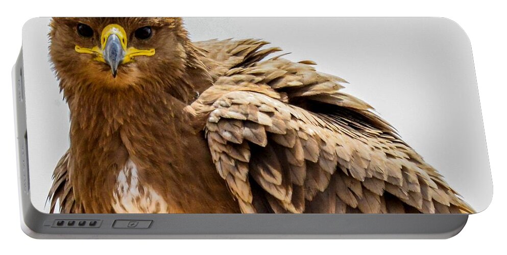 Africa Portable Battery Charger featuring the photograph Tawny Eagle Close Up by Marilyn Burton
