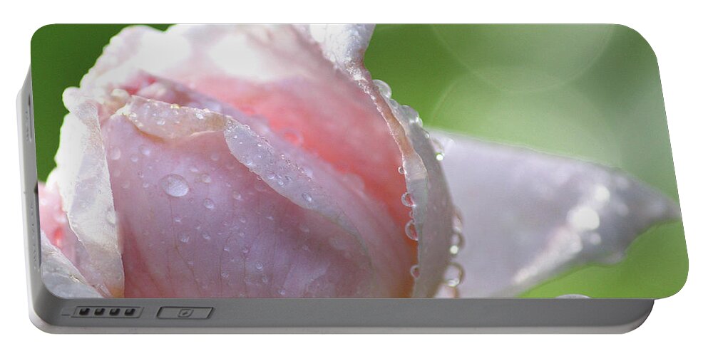 Tears Of A Rose Portable Battery Charger featuring the photograph Tears of a Rose by The Art Of Marilyn Ridoutt-Greene