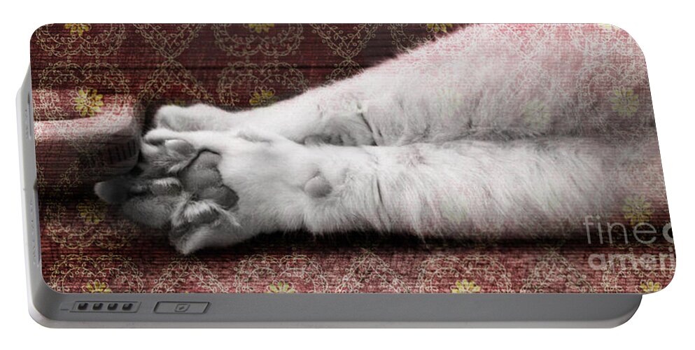 Cat Portable Battery Charger featuring the photograph Teddy's Paw by Elaine Berger