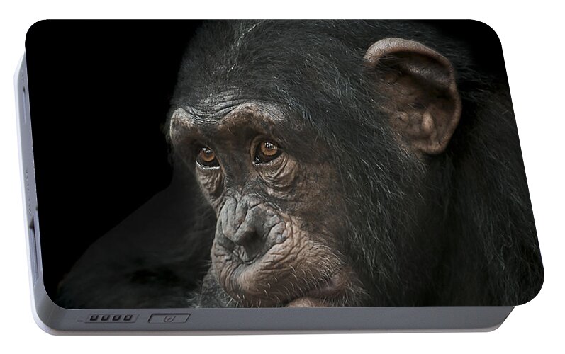 Chimpanzee Portable Battery Charger featuring the photograph Tedium by Paul Neville