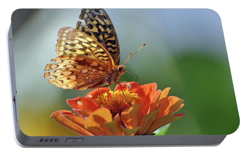 Butterfly Portable Battery Charger featuring the photograph Tenderness by Glenn Gordon