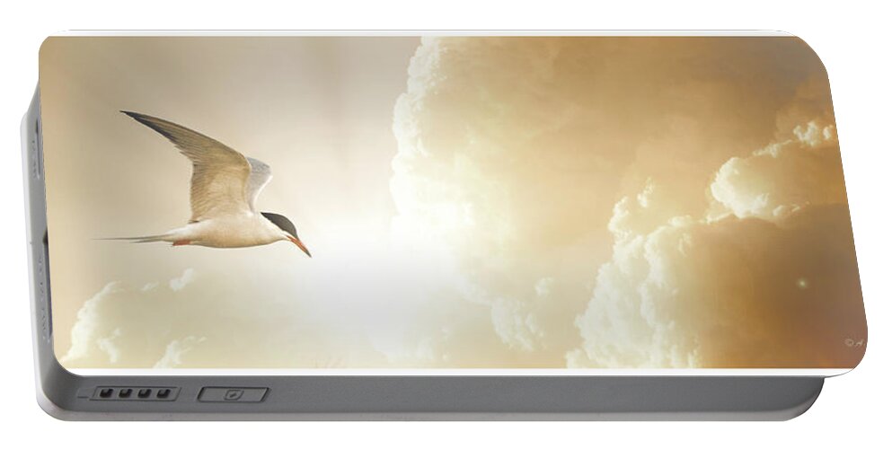 Tern Portable Battery Charger featuring the photograph Tern in Flight, Spiritual Light of Dusk by A Macarthur Gurmankin