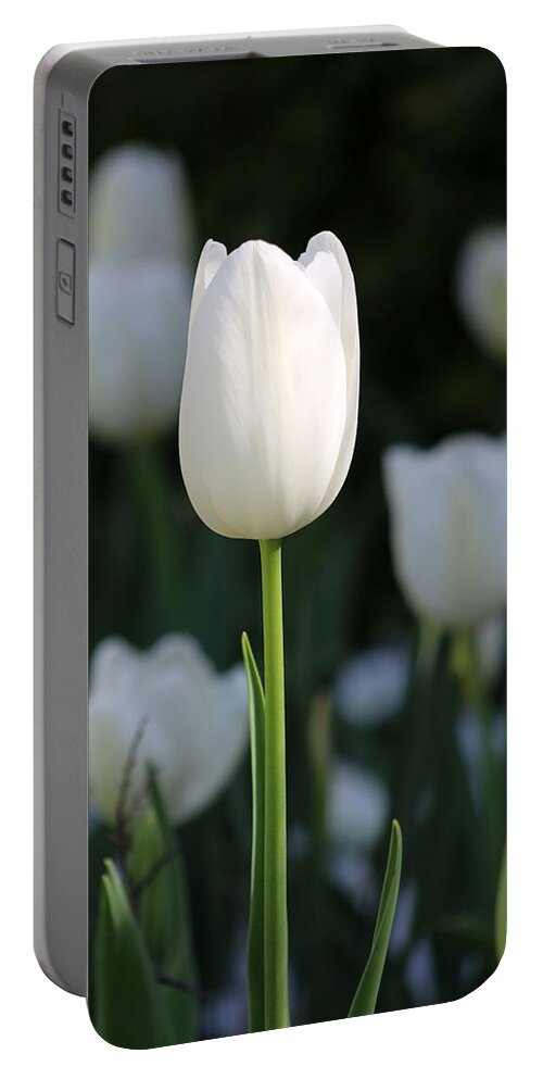 Tulip Portable Battery Charger featuring the photograph Texas Blooms 135 by Pamela Critchlow