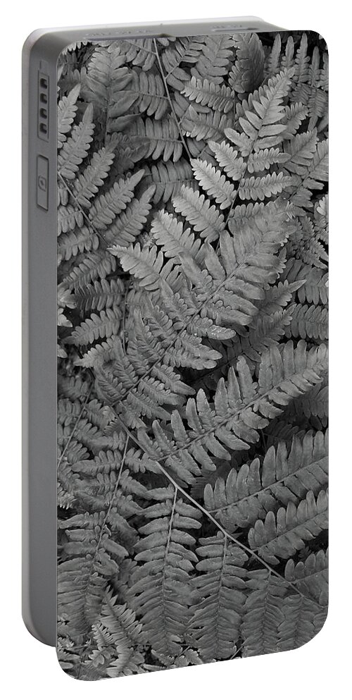 Fern Portable Battery Charger featuring the photograph Textures of the Forest by Holly Ross