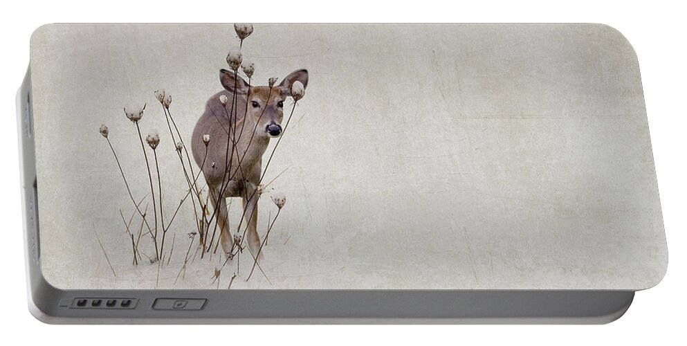 Winter Portable Battery Charger featuring the photograph Thanksgiving Visitor by Ron Jones