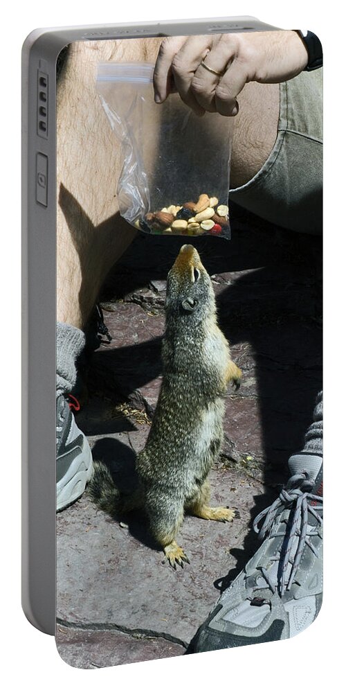 Columbian Ground Squirrel Begging Food Portable Battery Charger featuring the photograph That Smells Good by Sally Weigand