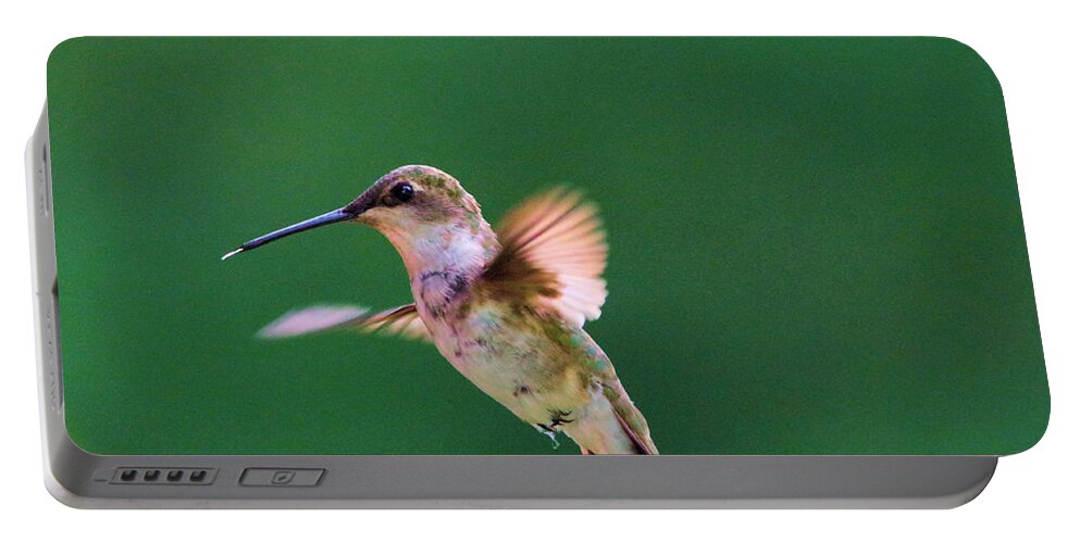 Hummingbird Portable Battery Charger featuring the photograph That was Yummy by Jeff Swan