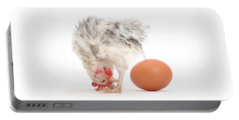 Serama Chicken Portable Battery Charger featuring the photograph That's eggstraordinary by Warren Photographic