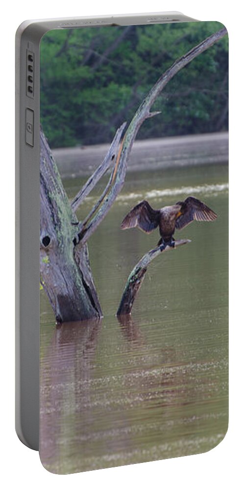 Bird Portable Battery Charger featuring the photograph That's My Reflection by Donna Brown
