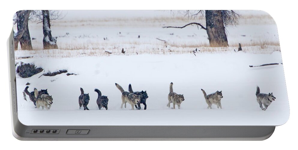 Agate Wolf Portable Battery Charger featuring the photograph The Agates by Mark Miller