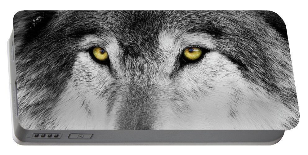 Yellow Eyed Wolf Portable Battery Charger featuring the photograph The Alpha Portrait by Mircea Costina Photography