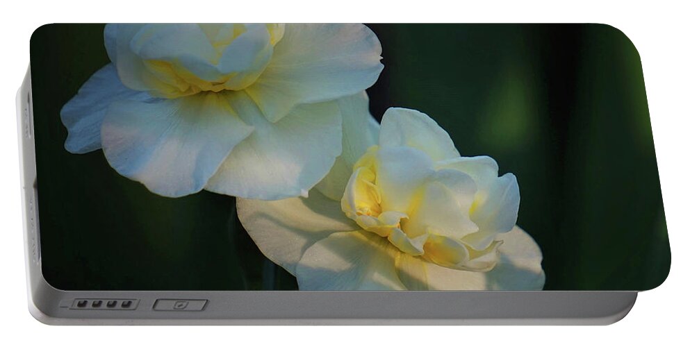 Spring Portable Battery Charger featuring the photograph The Arrival of Spring by Karen Beasley