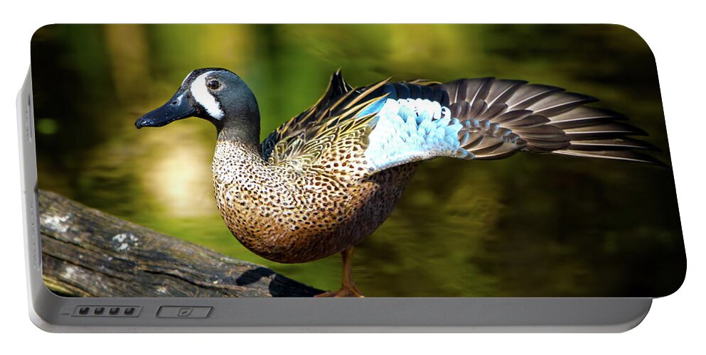 Duck Portable Battery Charger featuring the photograph The Art of the Fan by Mark Andrew Thomas