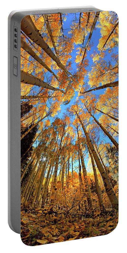 Aspen Trees Portable Battery Charger featuring the photograph The Aspens Above - Colorful Colorado - Fall by Jason Politte