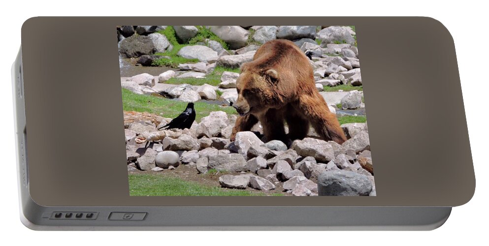 Suzanne Portable Battery Charger featuring the photograph The Bear And The Crow By Suze by Jay Milo