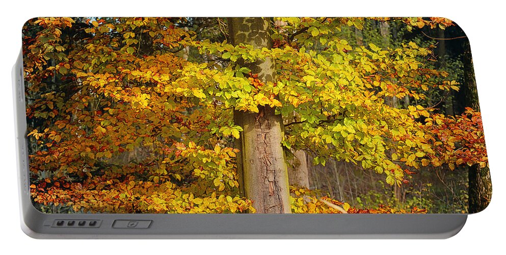 Photo Portable Battery Charger featuring the photograph The Beauty of Fall by Jutta Maria Pusl