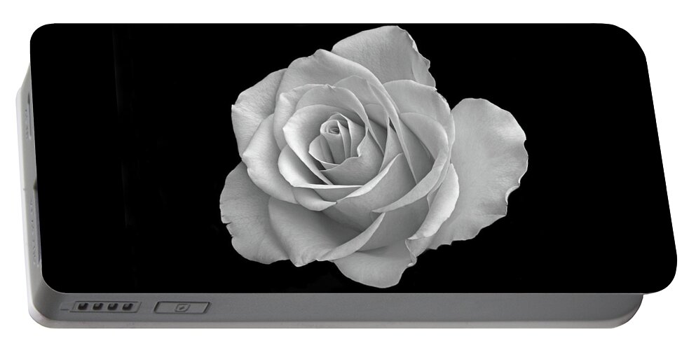 White Rose Portable Battery Charger featuring the photograph The Beauty Of Rose. by Terence Davis