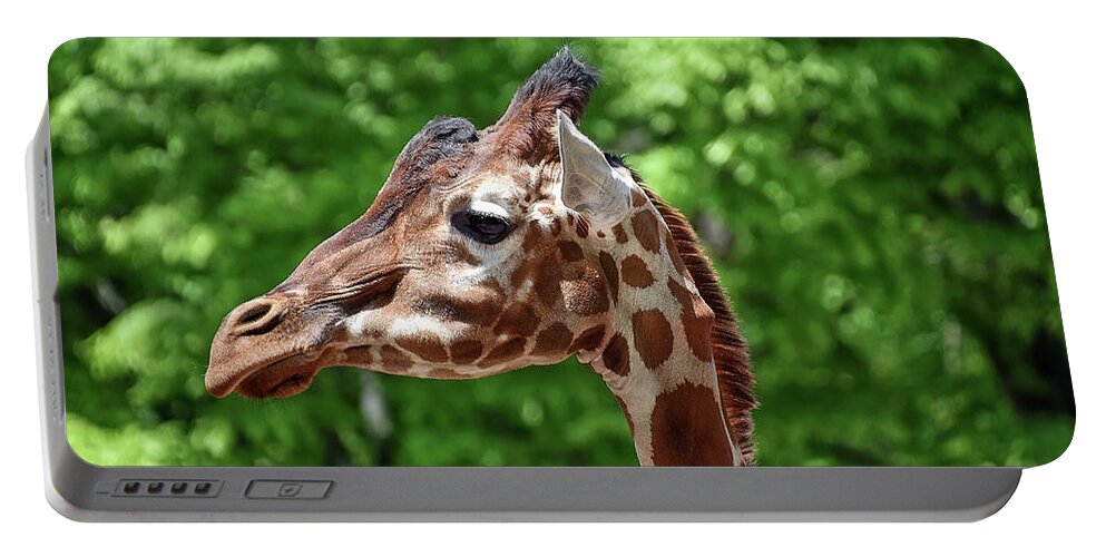 Giraffe Portable Battery Charger featuring the photograph The Big Guy by Kuni Photography