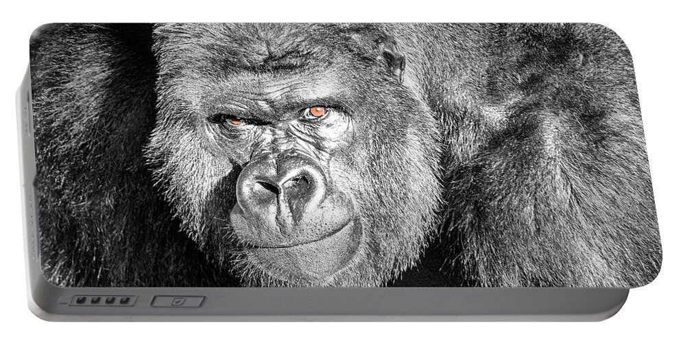 The Bouncer Portable Battery Charger featuring the photograph The Bouncer Gorilla by David Millenheft