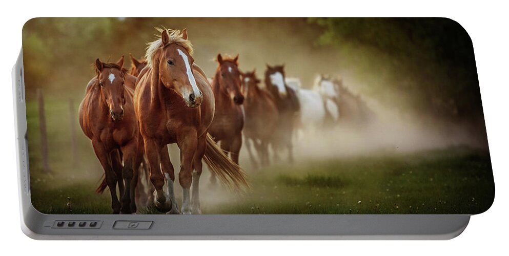 Horse Portable Battery Charger featuring the photograph The boys by Ryan Courson