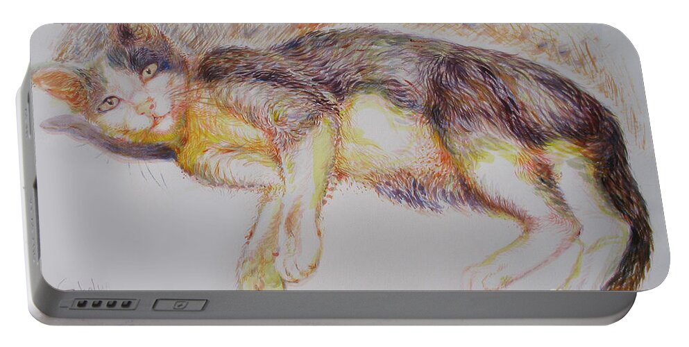 Acrylic Portable Battery Charger featuring the painting The marginal cat by Sukalya Chearanantana