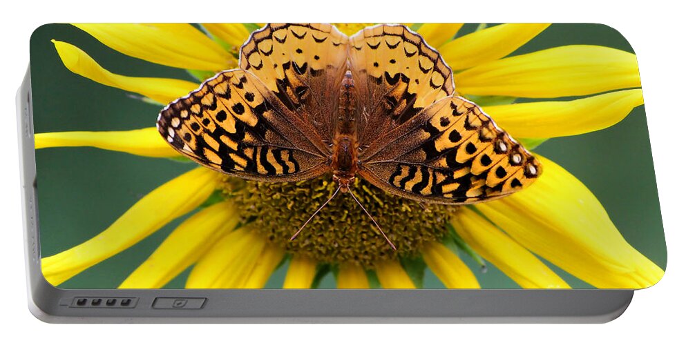Butterfly Portable Battery Charger featuring the photograph The Butterfly Effect by Tina LeCour