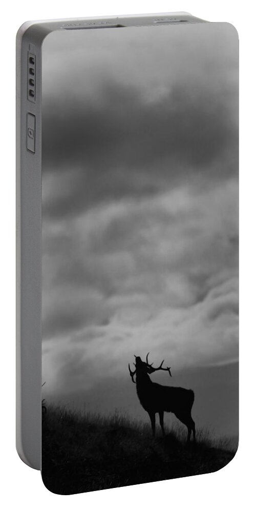 Rutting Stag Portable Battery Charger featuring the photograph The Call of the North by Gavin MacRae