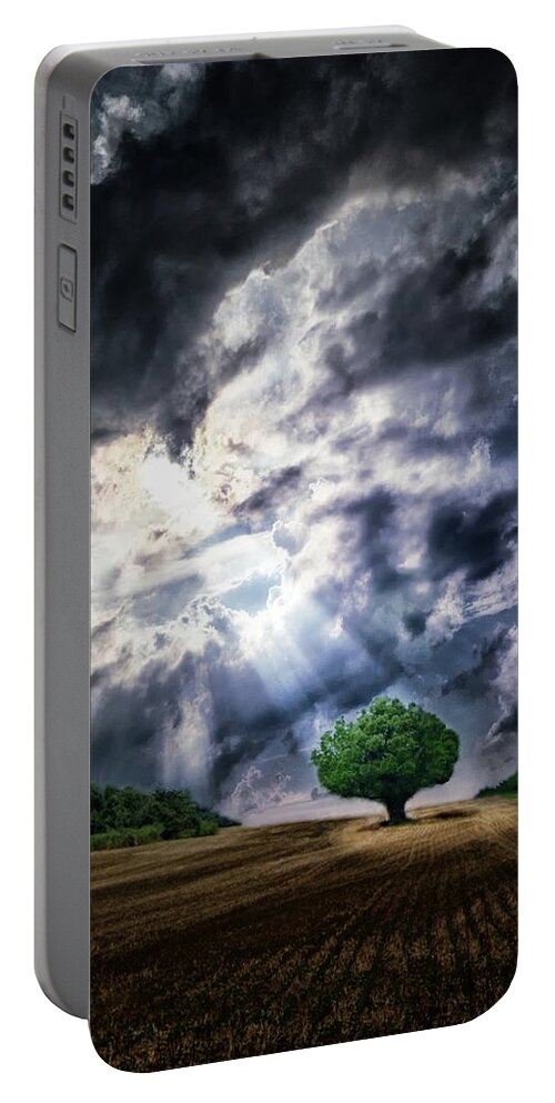 Tree Portable Battery Charger featuring the photograph The Chosen by Mark Fuller