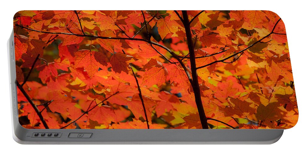 Waterfalls Portable Battery Charger featuring the photograph The Colors of Fall by Brenda Jacobs