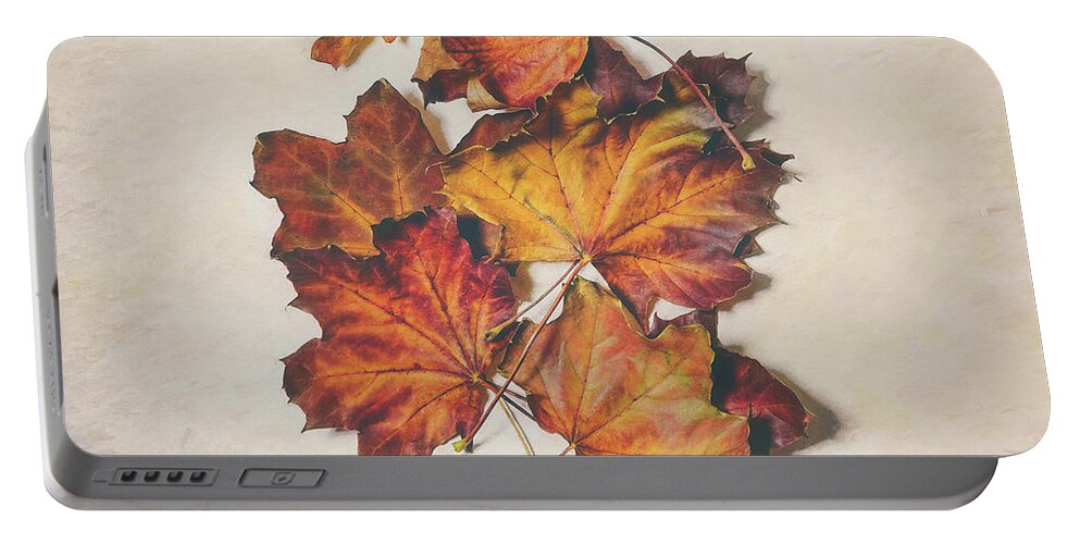 Leaves Portable Battery Charger featuring the photograph The Colors of Fall by Scott Norris