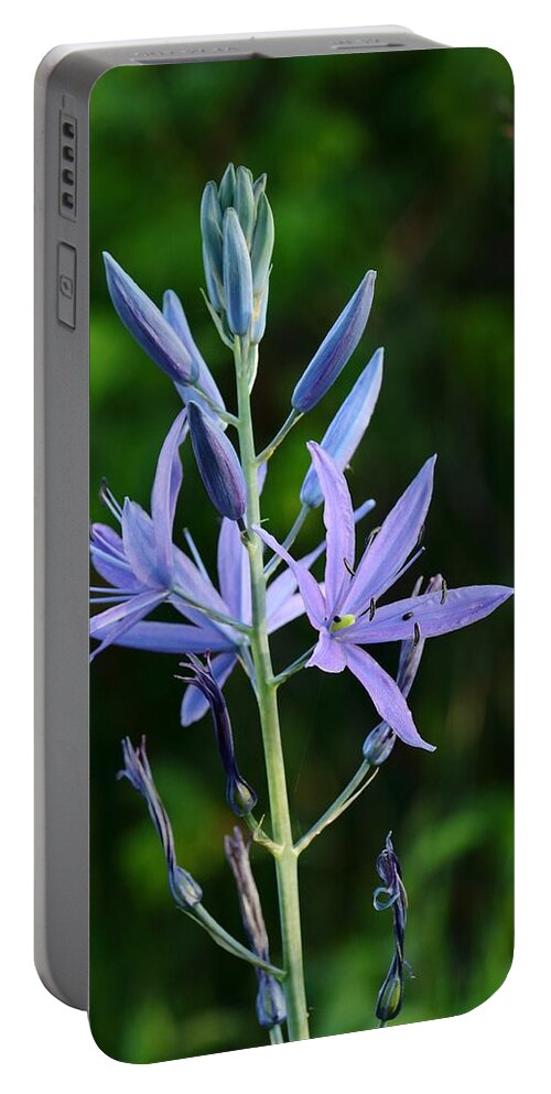 Common Camas Portable Battery Charger featuring the photograph The Common Camas by I'ina Van Lawick