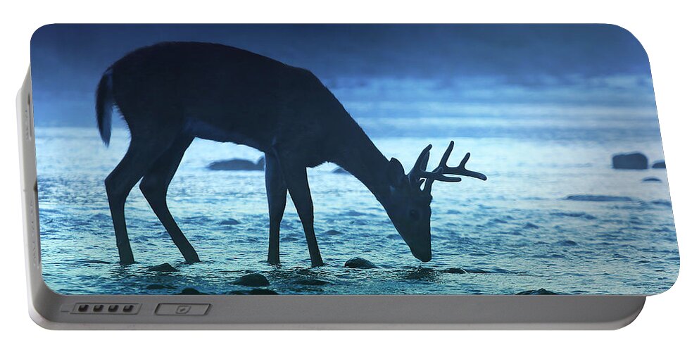  Portable Battery Charger featuring the photograph The Cool of the Night - Square by Rob Blair