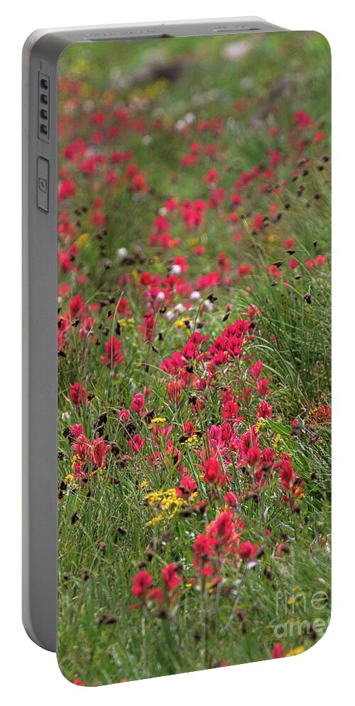 Red Wildflowers Portable Battery Charger featuring the photograph The Crimson Tide by Jim Garrison