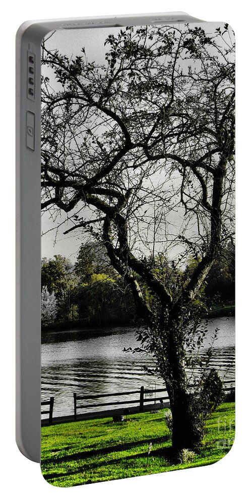 Tree Portable Battery Charger featuring the photograph The Crow by September Stone