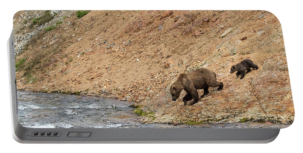 Alaska Portable Battery Charger featuring the photograph The Danger Has Passed by Cheryl Strahl