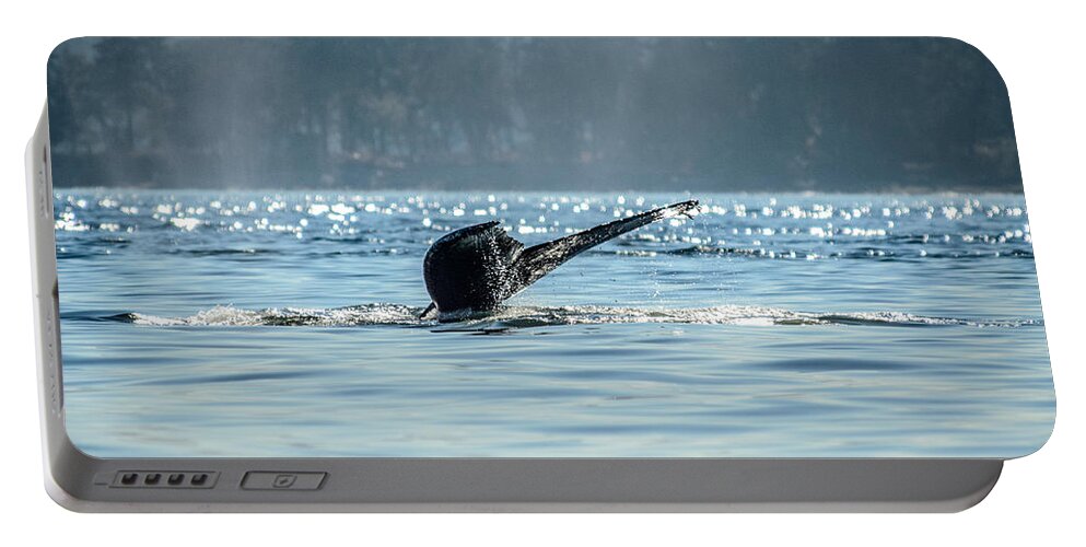 Humpback Whales Portable Battery Charger featuring the photograph The Descent Humpback Whale by Roxy Hurtubise