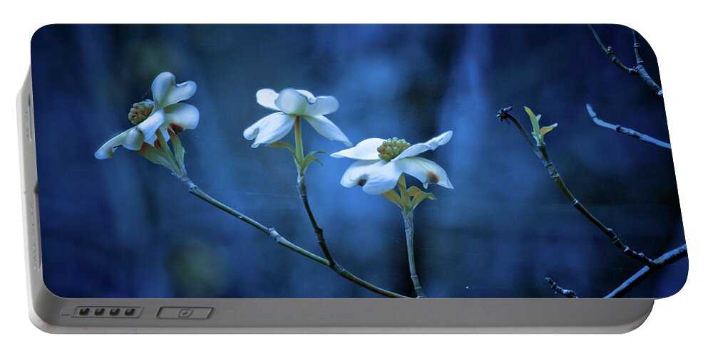 Texas Dogwoods Portable Battery Charger featuring the photograph The Dogwoods are Blooming by Linda Unger