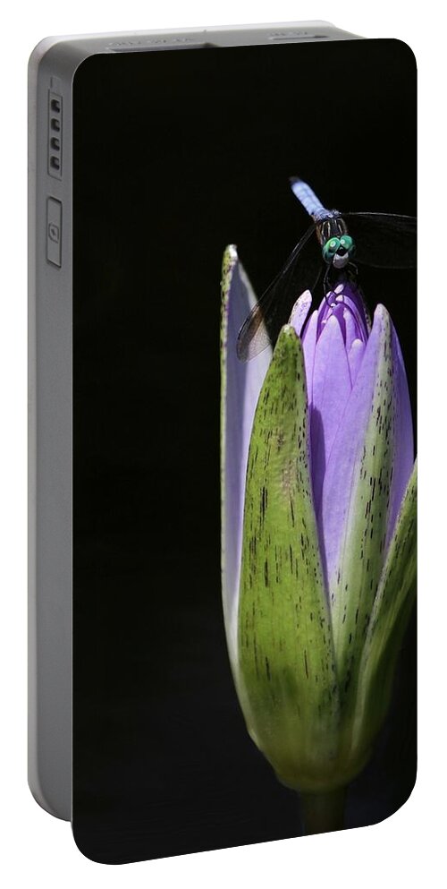 Bud Portable Battery Charger featuring the photograph The Dragonfly and the Water Lily by Sabrina L Ryan