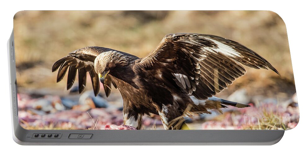 Golden Eagle Portable Battery Charger featuring the photograph The Eagle have come down by Torbjorn Swenelius