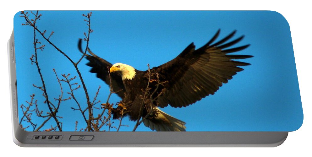 Bald Eagle Portable Battery Charger featuring the photograph The Eagle Is Landing by Darrell MacIver