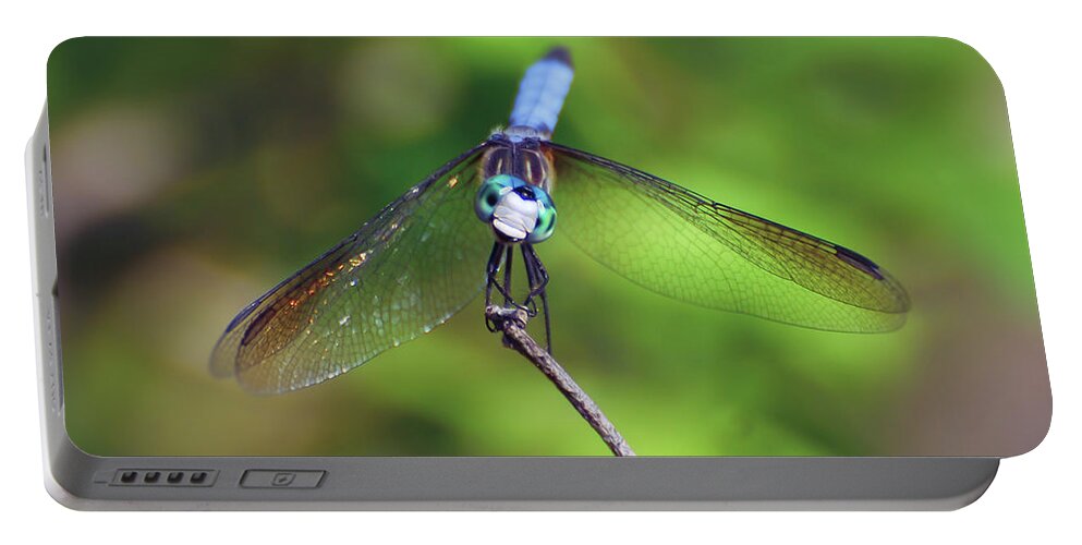 Dragonfly Portable Battery Charger featuring the photograph The Face of a Dragon by Kerri Farley