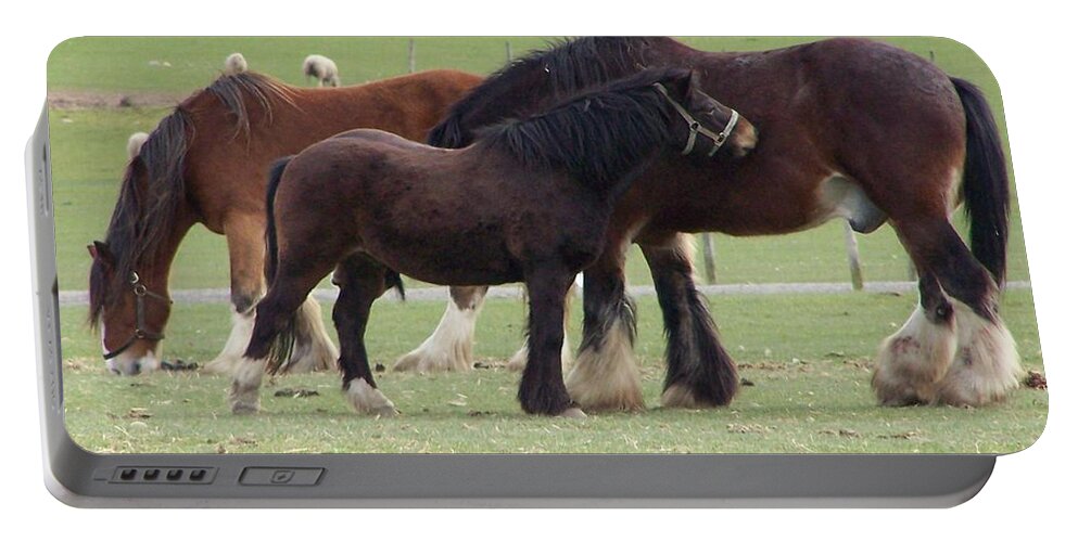 Horses Portable Battery Charger featuring the photograph The family by Christopher Rowlands